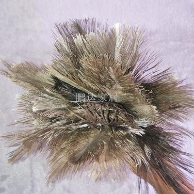 工厂批发鸵鸟毛掸子 多功能清洁利器，满足家居与车用需求